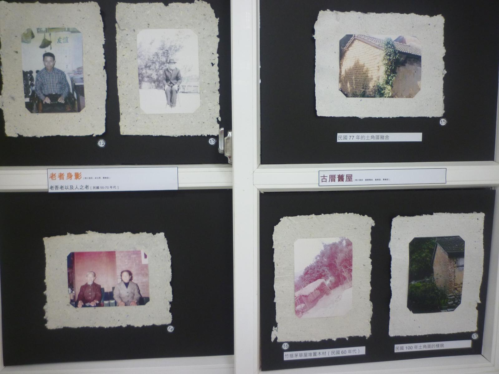 由蔡曉君女士收集供74幅及製作的楓樹歷史照片，開新視窗
